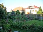Třibřichy